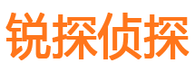 开平侦探社